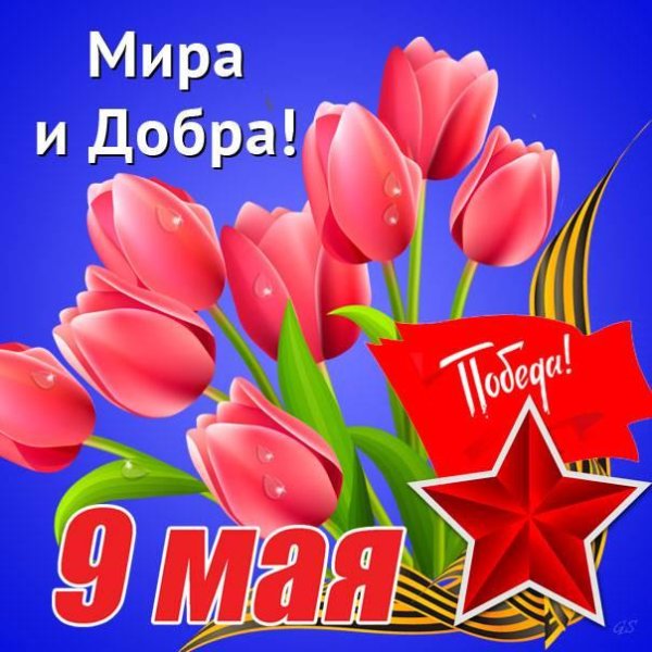 с 9 мая поздравления