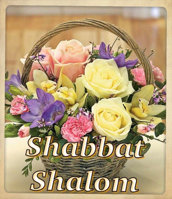 shabbat shalom