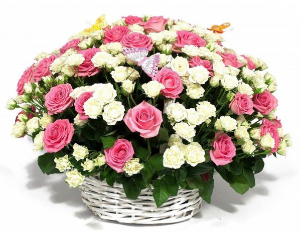 розы в корзине