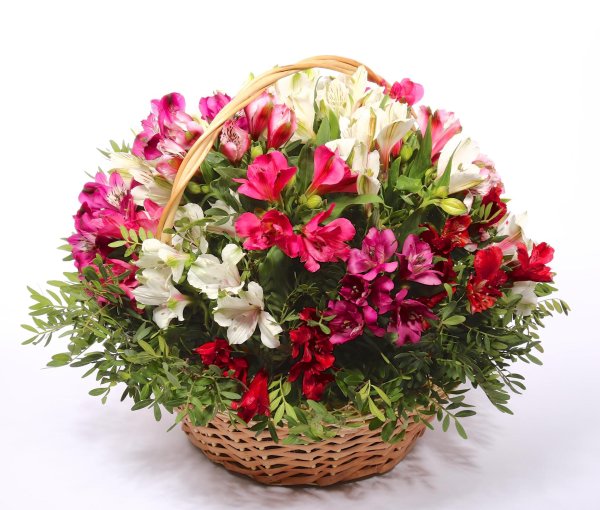 букет альстромерии