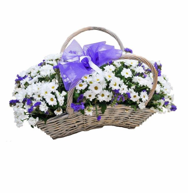 корзинка хризантема роза статица