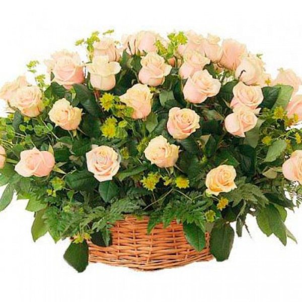 кустовая роза