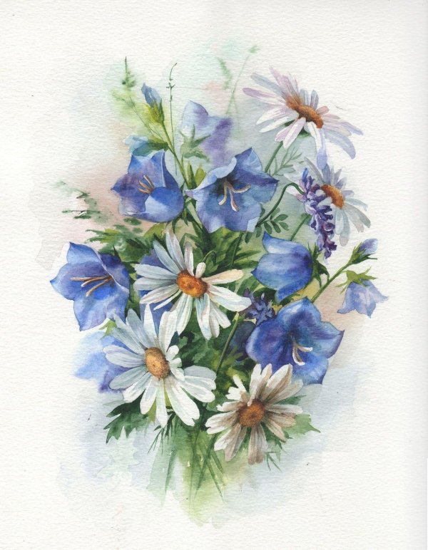 анастасия беседина художник акварель