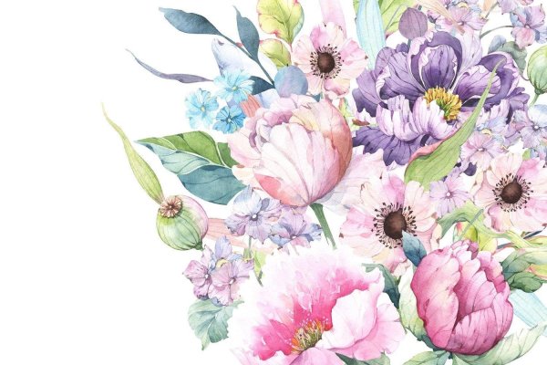 акварельная иллюстрация