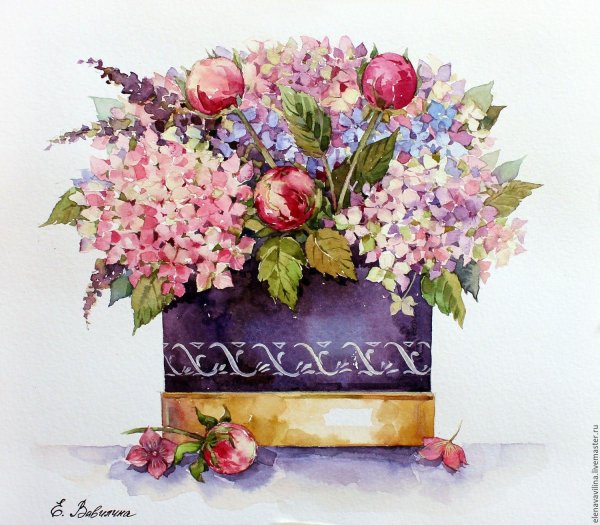 елена вавилина художник акварели