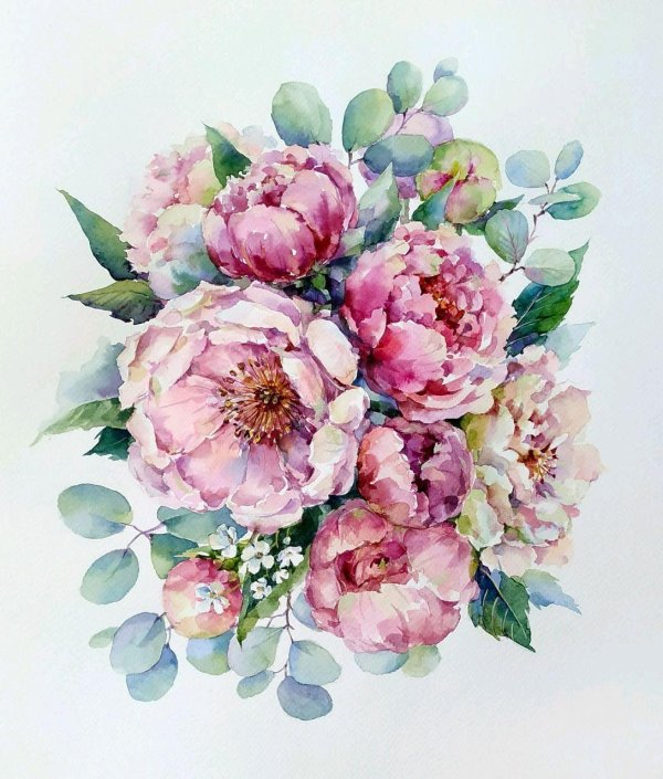 елена вавилина пионы