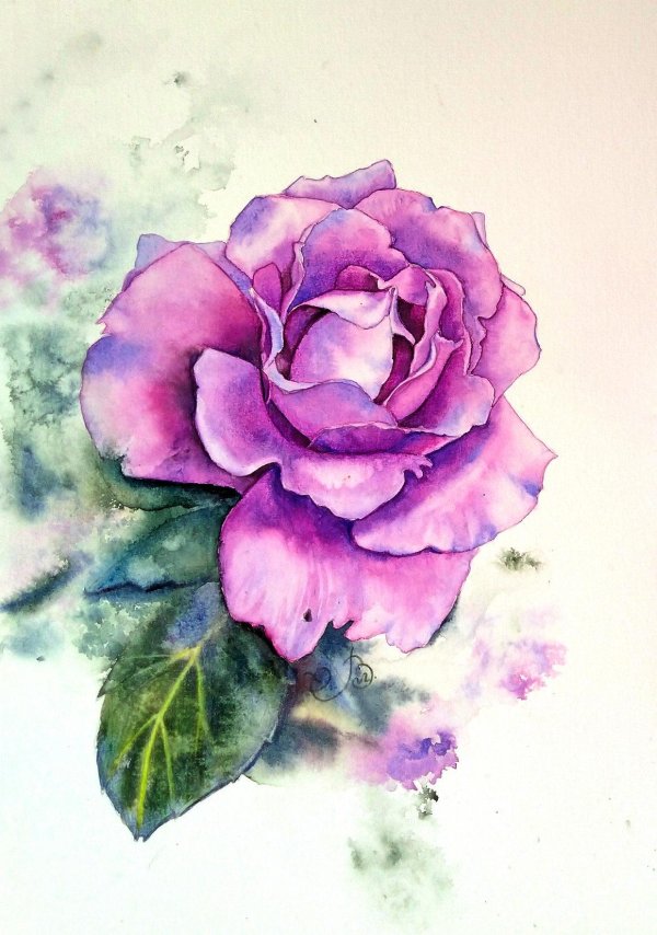 ботаническая живопись акварелью