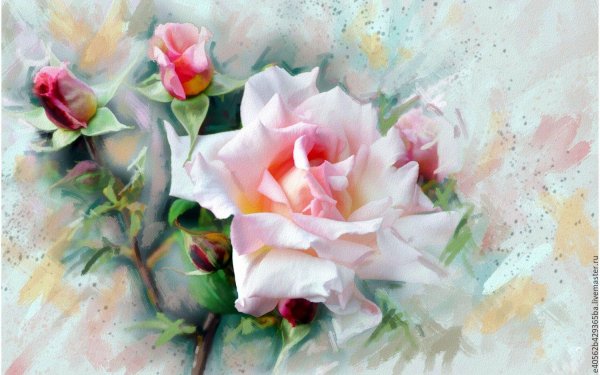 живопись розы
