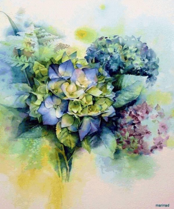 рэйчел макнотон акварель гортензии