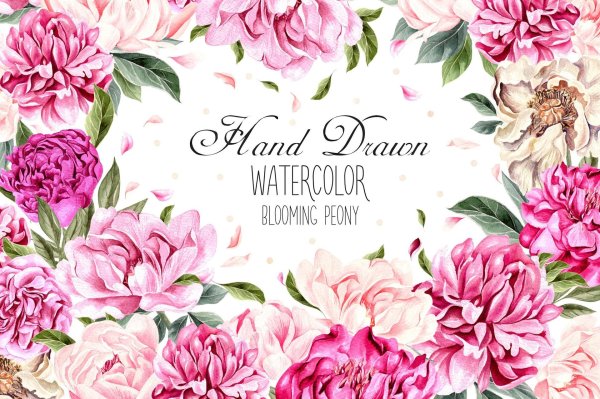 акварельные пионы открытка