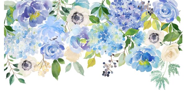 рэйчел макнотон акварель гортензии