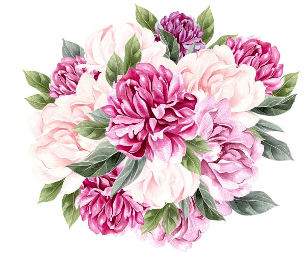 пион рисунок