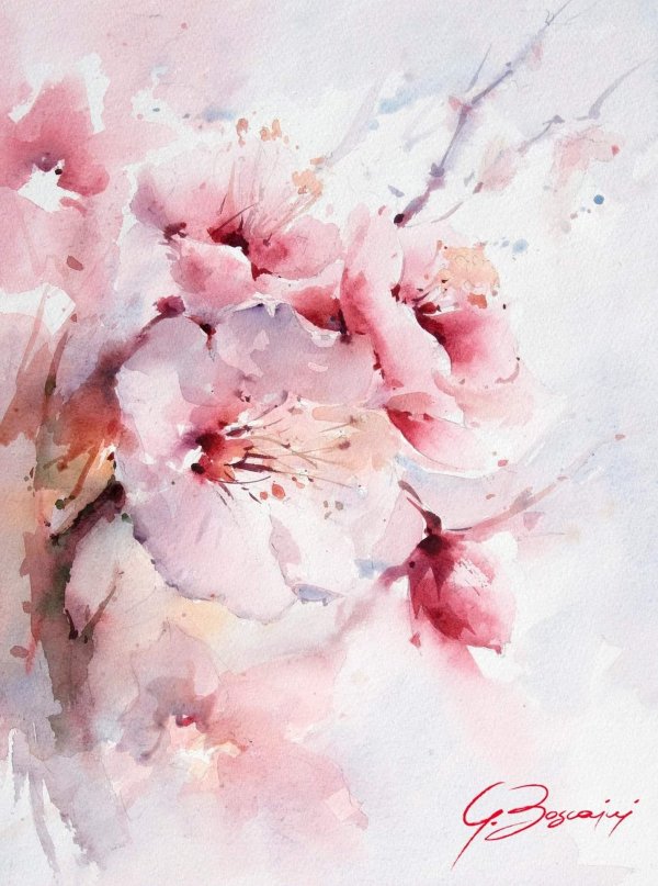 акварелист джулиано боскаини