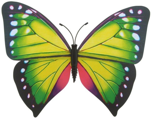 большие цветные бабочки