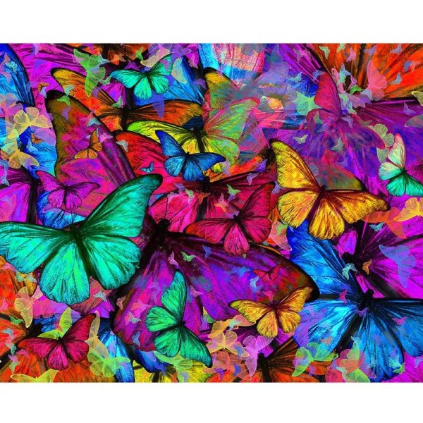 бабочки много