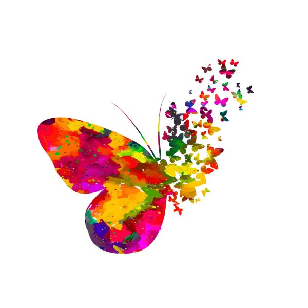 термонаклейка бабочка