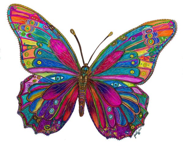 рисунок бабочек