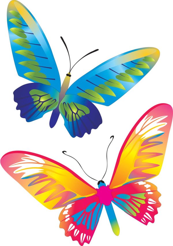 наклейка бабочка