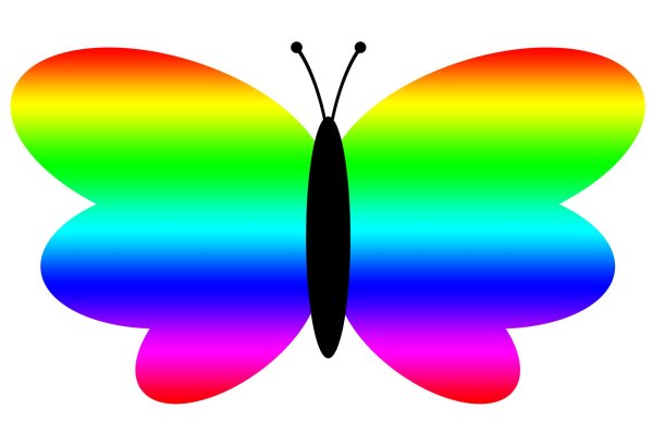 бабочки цвета радуги