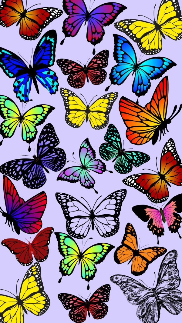 бабочки для распечатки цветные