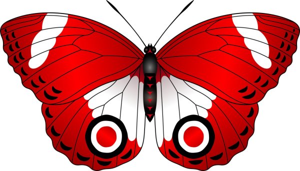 красные бабочки