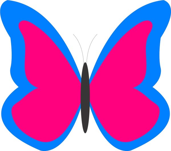 бабочки трафарет для вырезания цветные