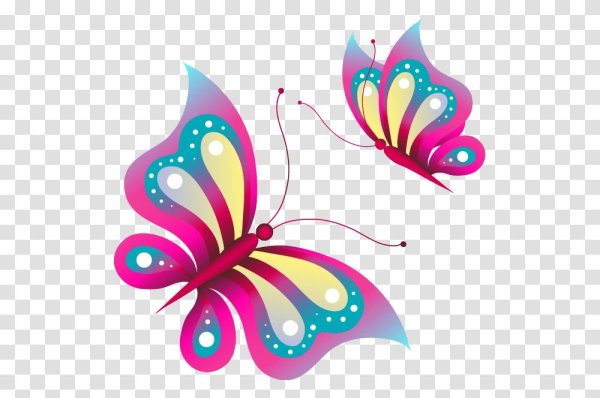 мультяшные бабочки на прозрачном фоне