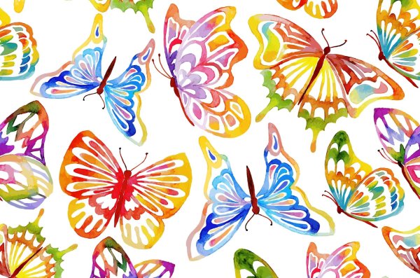 рисунок бабочек