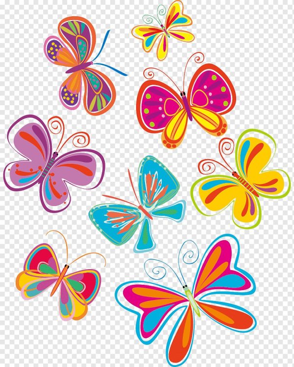 бабочки для оформления