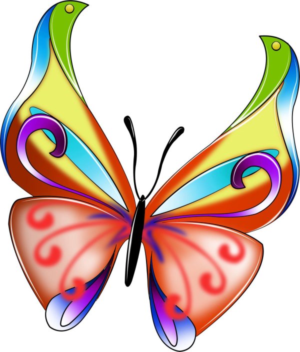 красивая бабочка рисунок