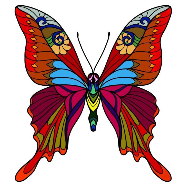 бабочка эскиз