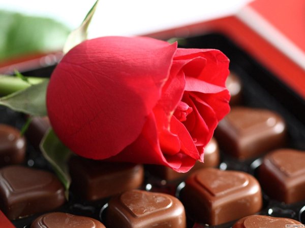 шоколадная конфета