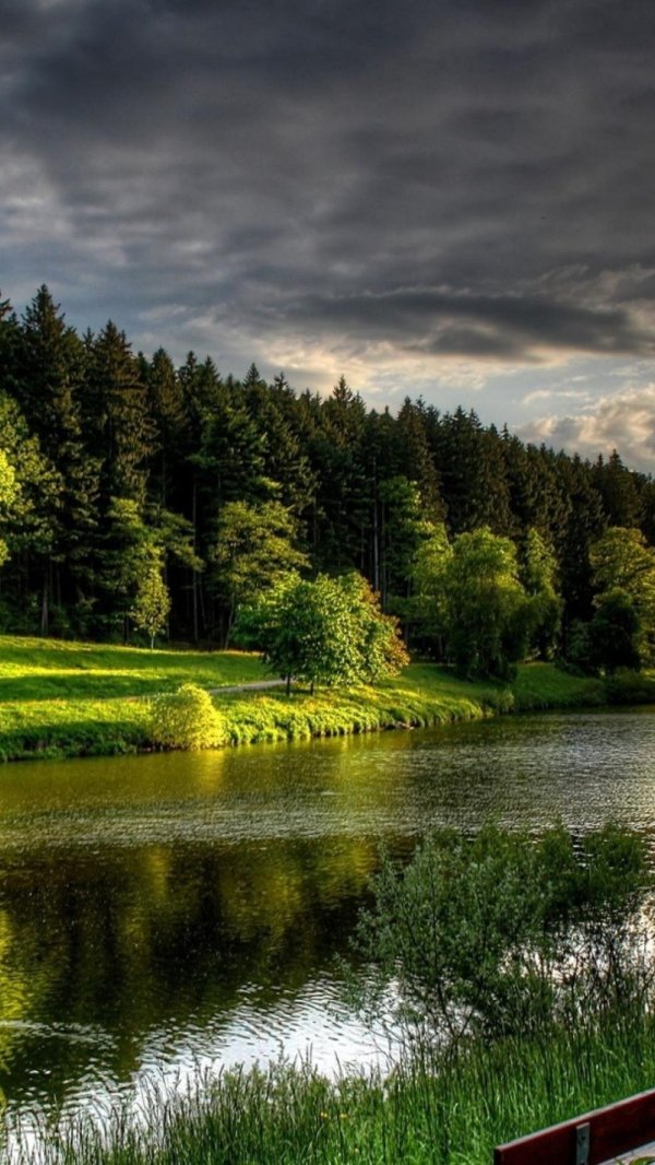 пейзажи летние