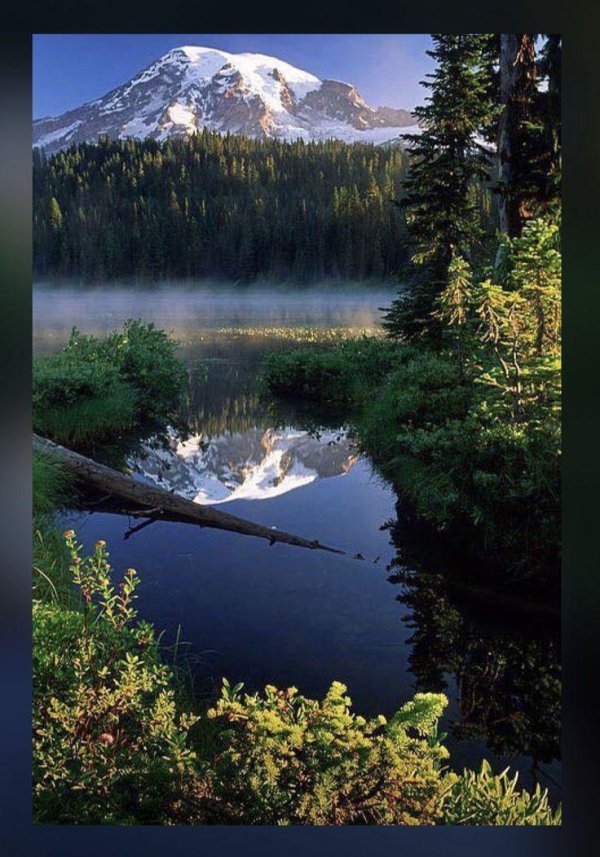mt rainier national park