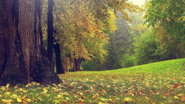 осенние пейзажи