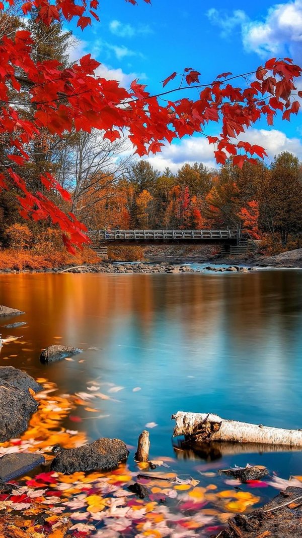 красивая осень