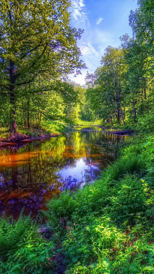 красивые пейзажи природы