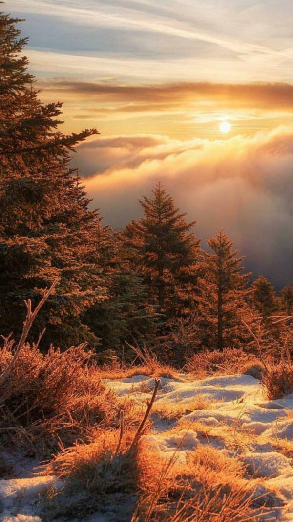 зима солнце