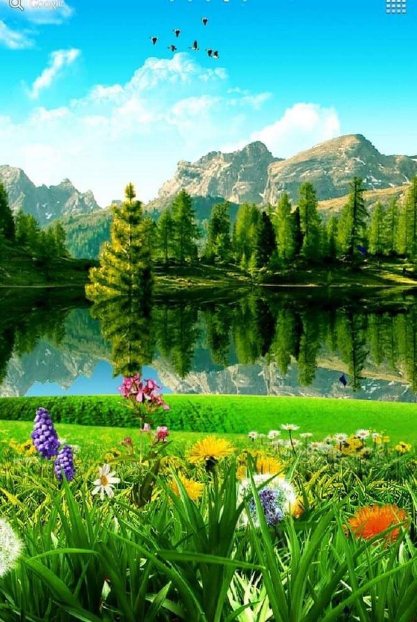 красивые летние пейзажи