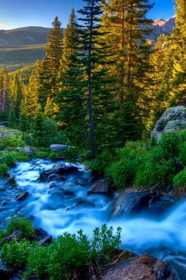 красивые пейзажи природы