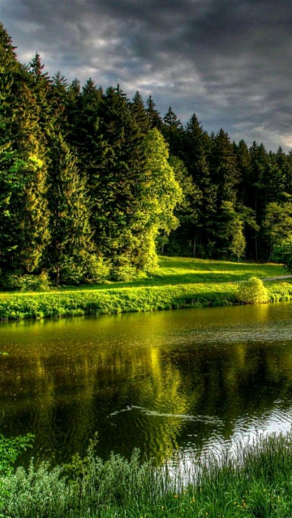 пейзажи природы лето