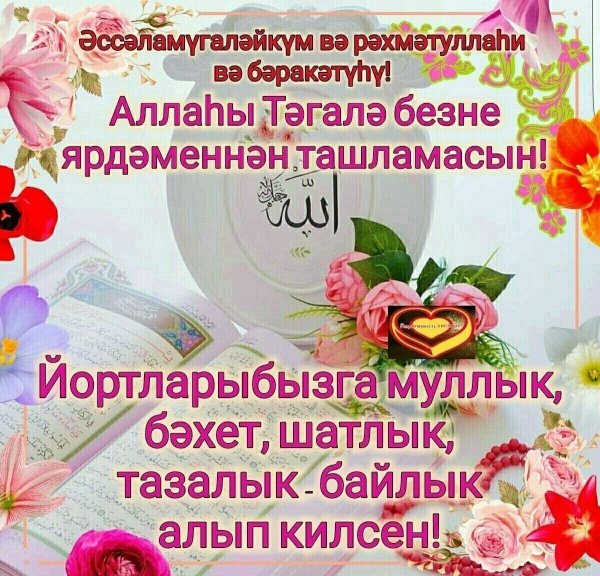 открытки жомга кон