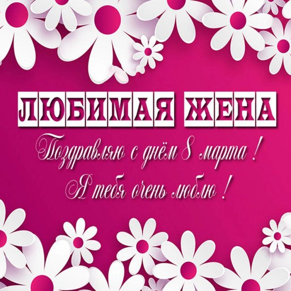 любимая жена