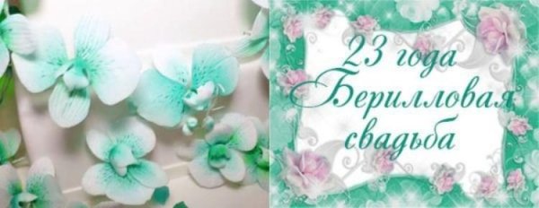 бирюзовая орхидея фаленопсис