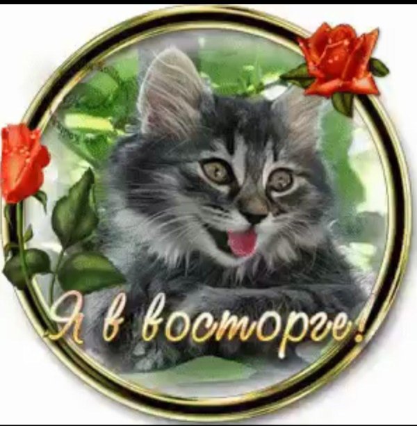 классно открытки