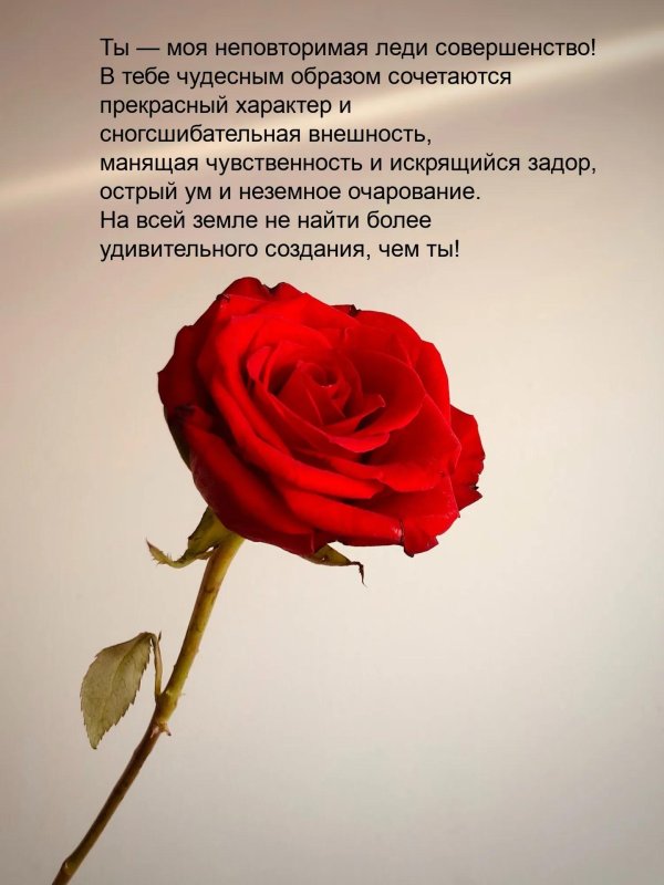 прекрасные слова девушке