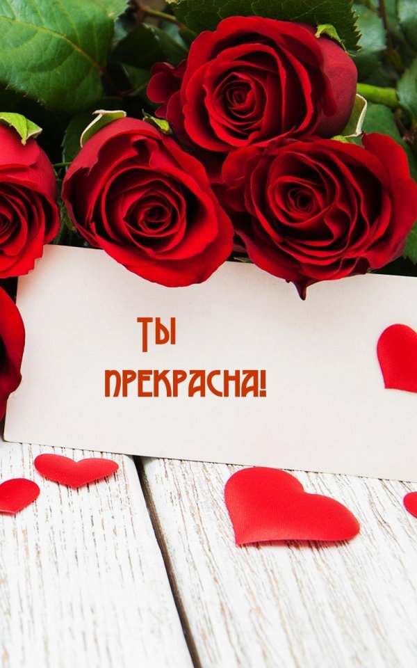 роза для любимой