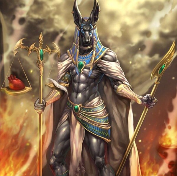 что такое анубис