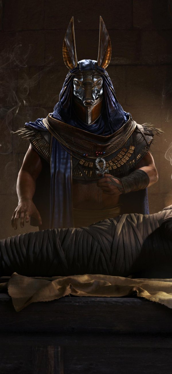 что такое анубис