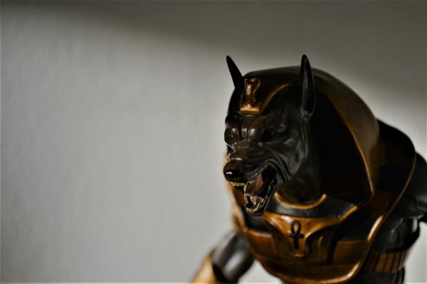 анубис древний египет